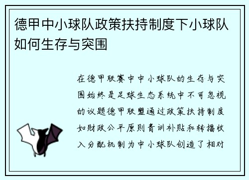 德甲中小球队政策扶持制度下小球队如何生存与突围
